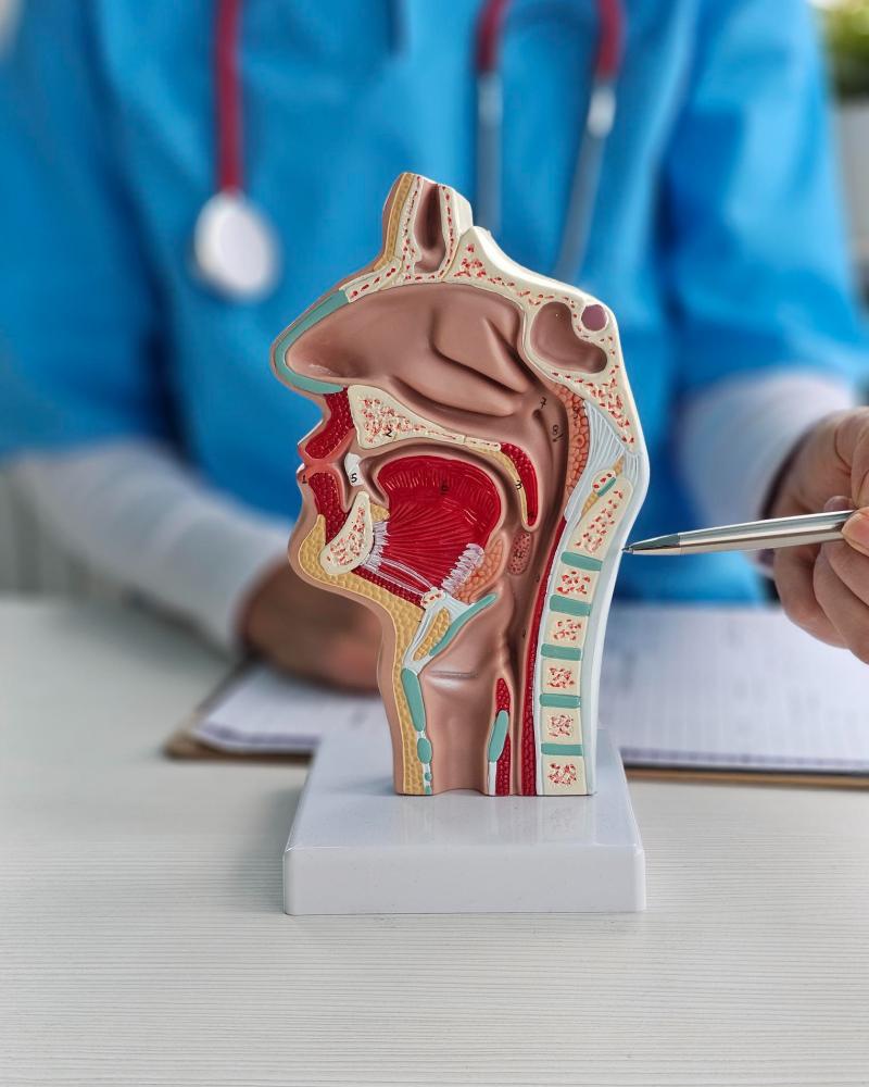 throat